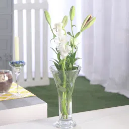 pasabahce Transparent Celebration Glass Vase-picture-28