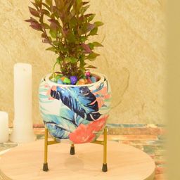 SONE KEY CHIDIYA Blue Ceramic Handmade Leaf Painted Planter-image-49