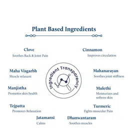 Blue Nectar Devtvakadi Cinnamon Back & Joint Spray For Healthy & Strong Joints 100 ml image 5