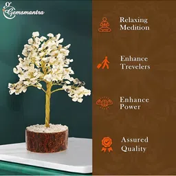 Gemsmantra Gold-Toned Figurine Showpiece-image-98