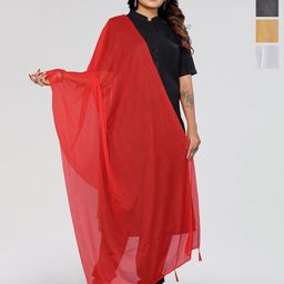Moda Rapido Selection Of 4 Lycra Tasselled Border Dupatta-21