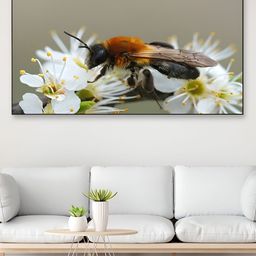 DEKORSTATION White & Brown Bee Printed Canvas Wall Art-image-35