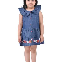 Cloth Bites Girls Peter Pan Collar Embroidered Fit & Flare Dress-image-77