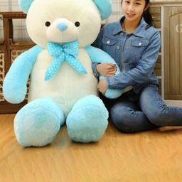 VEERA SOFT TOYS Cotton Teddy Bears Soft Toys and Dolls-50