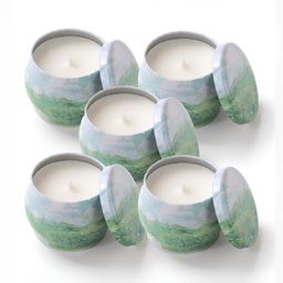 andMe Green & Blue 5 pieces Jar Candle-image-9