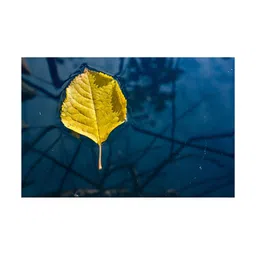Inephos Blue And Yellow Abstract Printed Paper Wall Art-image-49