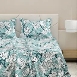 DREAM WEAVERZ Blue & White Printed Cotton 220 TC King Bedsheet Set 2.75m x 2.55m-image-77