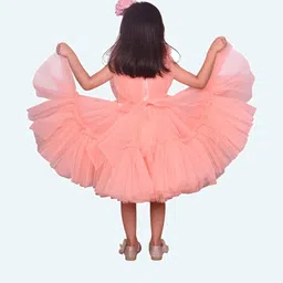 Modish Net Fit & Flare Dress image 3