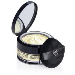 PAC Feather Soft Natural Finish Translucent Powder 10g - Shade 10-13