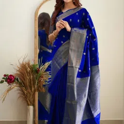 BerMondsey Woven Design Banarasi Saree-picture-18
