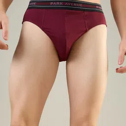 Park Avenue Men Pure Super Combed Cotton Low-Rise Basic Briefs-picture-28