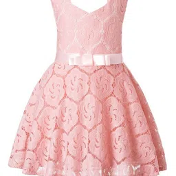 Wish little Girls Lace Self Design Fit and Flare Dress-picture-32
