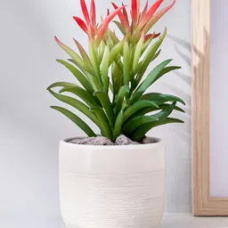 Home Centre Corsica White Alstroemeria Aloe Vera Artificial Plant With Ceramic Pot-10