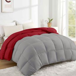 RAZZAI Silver-Toned & Burgundy Microfiber Mild Winter 500 GSM Double Bed Comforter-image-73