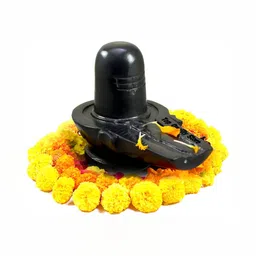 Navyaksh Black Marble Shivling Religious Idol Showpiece-73