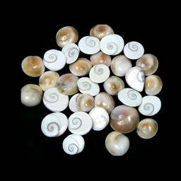 Navyaksh Beige Stone 5 Pieces Gomti Chakra Decorative Showpiece-image-69