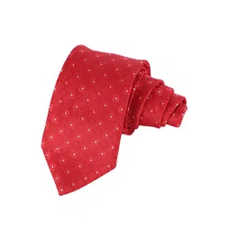 Alvaro Castagnino Men Printed Skinny Tie-56