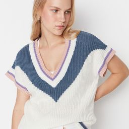 Trendyol Women Off White & Blue Colourblocked Colourblocked Sweater Vest-image-51