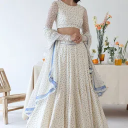 Baise Gaba Printed Ready to Wear Lehenga & Blouse With Dupatta-picture-26