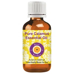Deve Herbes Pure Calamus Essential Oil - Natural Therapeutic Grade Steam Distilled - 5ml-image-47