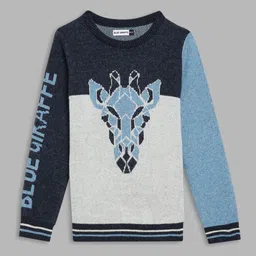 Blue Giraffe Boys Colourblocked Pullover-image-38
