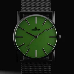 SKYLONA Men Brass Dial & Stainless Steel Straps Reset Time Analogue Watch Elegance Green-1