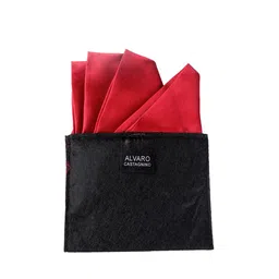 Alvaro Castagnino Men Maroon Solid Pocket Square-image-81