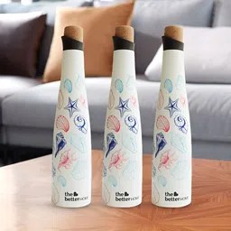 The Better Home White & Blue 2 Pcs Stainless Steel Water Bottle 750 ml-image-62