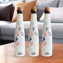 The Better Home White & Blue 3 Pcs Stainless Steel Water Bottle 500 ml-image-31