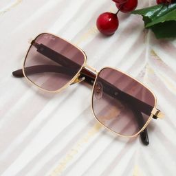 Ted Smith Unisex Brown Lens & Gold-Toned Square Sunglasses with UV Protected Lens-23