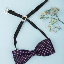 Arendelle Boys Purple Printed Satin Bow Tie-42