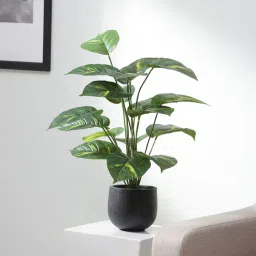 fourwalls Plastic Loretta Green Miniature Silk Floor Artifical Without Pot Artificial Plant-picture-18