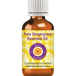 Deve Herbes Pure Gingergrass Essential Oil Natural Therapeutic Grade Steam Distilled 15ml-image-77
