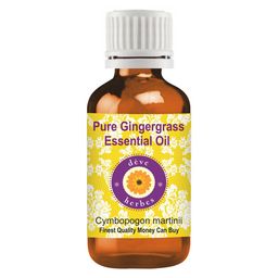 Deve Herbes Pure Gingergrass Essential Oil Natural Therapeutic Grade Steam Distilled 30ml-image-8