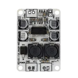 TPA3110 Mono Channel Digital Amplifier Board 30W Power Amplifier Module image 2