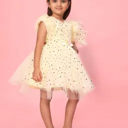 BAESD Polka Dot Print Flutter Sleeve Net Fit & Flare Dress image 4