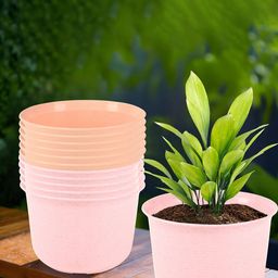 Kuber Industries 12Pcs Peach-Colored & Pink Textured Planters With Plate-25