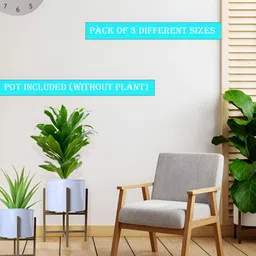 Homesake White & Brown Set Of 3 Metal Planters with Stands image 5