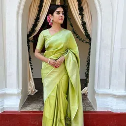Visit Wear Woven Design Pure Silk Banarasi Saree-picture-24