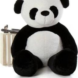 Teddy Bear 3 Feet Panda Soft Toy | Birthday Gift for Girls/Wife,- 90 cm-picture-21