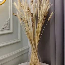 Myntra Elegant Homes White 1 Pieces Susan Grass Artificial Flower-image-68