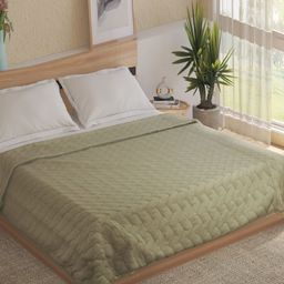 Home Centre Mystic Gard Mirelle Green Embroidered 350 GSM Cotton Double Bed Quilt-picture-33