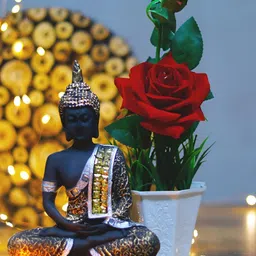 GW CREATIONS Black & Green Lord Buddha & Red Rose Plant Figurine Showpiece-image-73