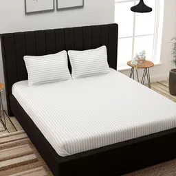 Florida Blaze White Striped 200 TC Queen Bedsheet Set 2.45 m x 2.28 m-image-4