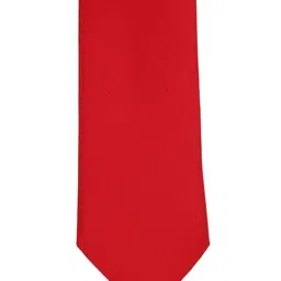 Alvaro Castagnino Men Red Solid Microfiber Broad Tie-picture-29