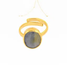 RAVIOUR LIFESTYLE Men Blue Ring-19