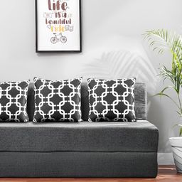 Solis Primus Comfort for all Grey Comfort Sofa Cum Bed-image-109