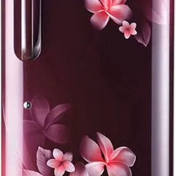 lg 205 L Direct Cool Single Door 3 Star Refrigerator-picture-27
