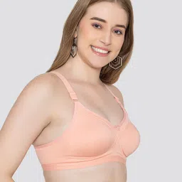 Maashie Pack of 2 Full Seamless Coverage Non Padded Tshirt Bra image 4