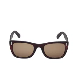 GARTH Unisex Brown Lens & Brown Wayfarer Sunglasses with UV Protected Lens image 5